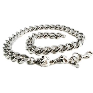 Daniel Smart Monster Leash Necklace with Skull, Chrome-Plated Aluminum Chain, 22 inch