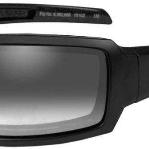 Harley-Davidson Mens Jumbo Light Adjusting Sunglasses, Smoke Gray Lenses HDJUM05