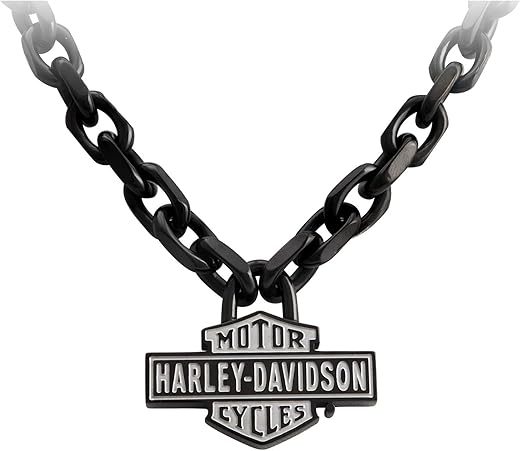 【Harley Davidson】Willie G Skull Disc Necklace Amazon.com: Harley-Davidson Men's Stainless Steel Willie G