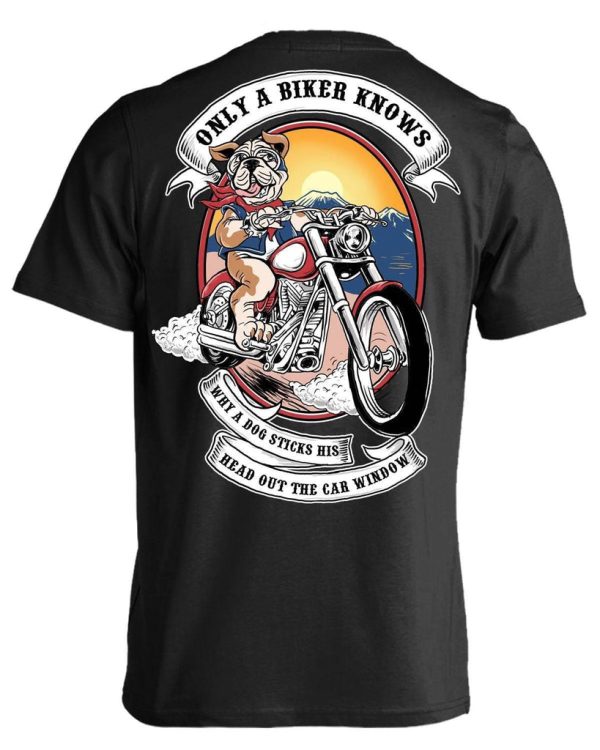 Only A Biker Knows Why A Dog Sticks His Head Out Of The Car Window T-Shirt, Cotton, Black